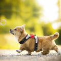 Reflective Dog Harness Rhinestone Bowknot Accessories