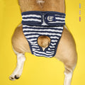 Washable Female Dog Shorts Underwear