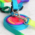 Colorful Rainbow Pet Dog Collar Leash Soft Walking Harness