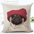 Animal Decorative Pillow Case - 450mm*450mm / 2435a - pillow case