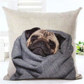 Animal Decorative Pillow Case - 450mm*450mm / 2435c - pillow case