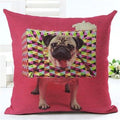 Animal Decorative Pillow Case - 450mm*450mm / 2435m - pillow case