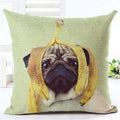 Animal Decorative Pillow Case - 450mm*450mm / 2435r - pillow case