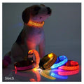 Flashing Led Leopard Print Design Puppy Collar - Dog Collars
