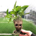 I Am Groot Planter - Vases