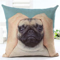 Lovely Silent Pug Dog Pillow Cover - 450mm*450mm / 2433c - pillow case