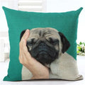 Lovely Silent Pug Dog Pillow Cover - 450mm*450mm / 2433e - pillow case