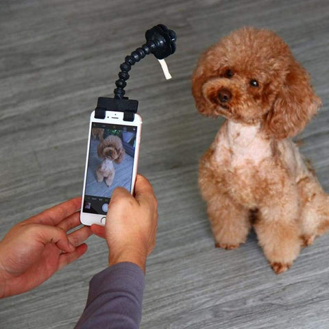 Portable Pet Selfie Stick