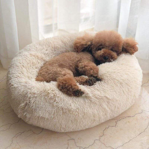 Super Soft Pet Bed